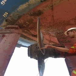 repair1.jpg